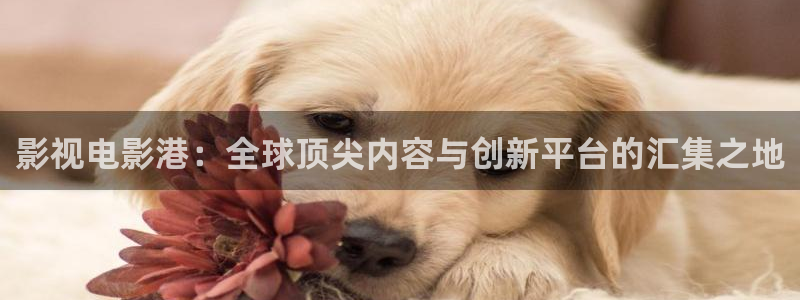 喜羊羊与灰太狼樱花视频