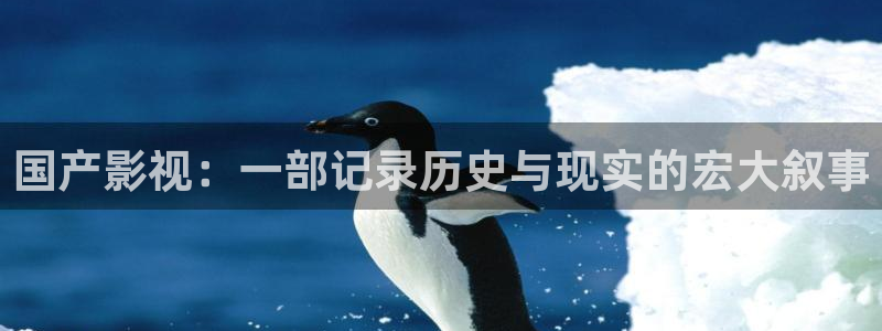 后宫露营樱花视频