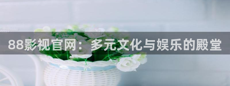 t樱花视频