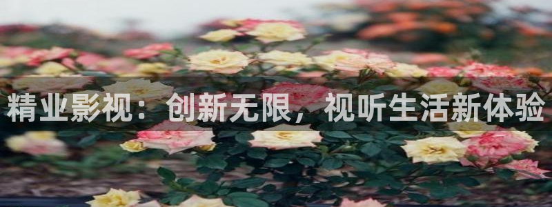 樱花视频热门电视剧