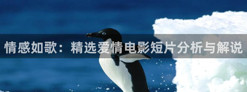 樱花视频成人app免费