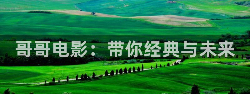 后宫露营樱花视频