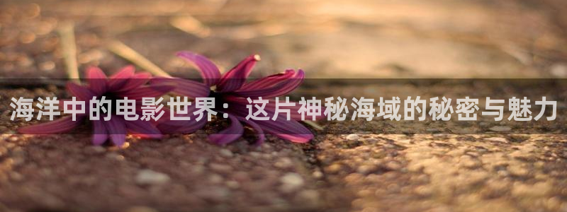 樱花影视在线免费观看
