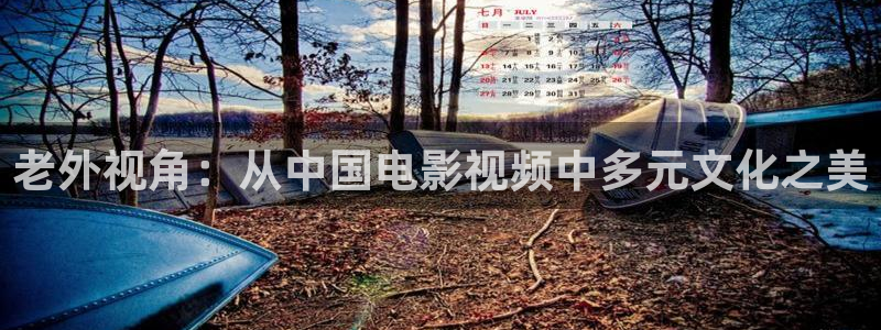 樱花视频在线观看电视剧全集免费