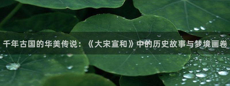 樱花影视网